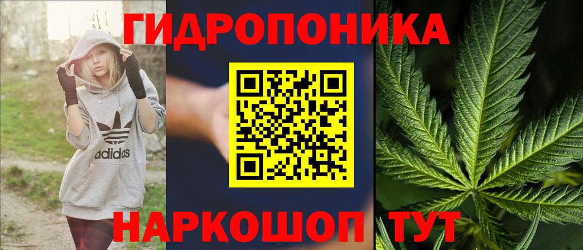 Бошки Шишки VHQ  Вход с VPN  Конопля LSD WEED  Новодвинск  Бошки Шишки сатива 